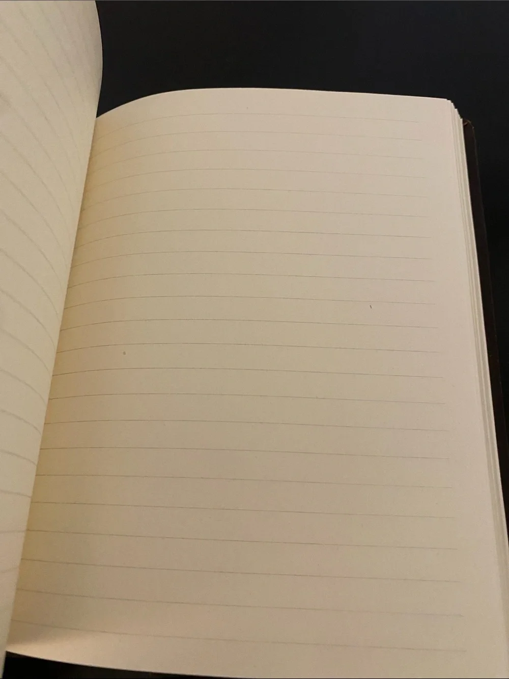 Embossed brown faux leather journal
